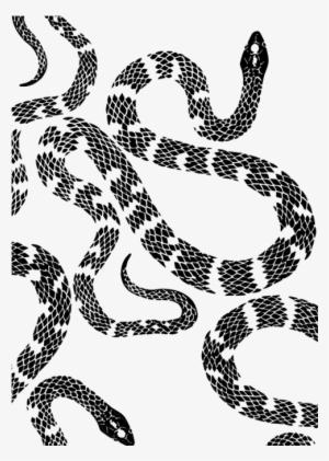 Base - - Sidewinder