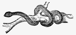 Sidebar - Black And White Illustration Snake Transparent