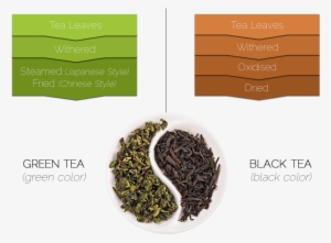 Why Green Tea Is Different - Use Henna For Hair Growth