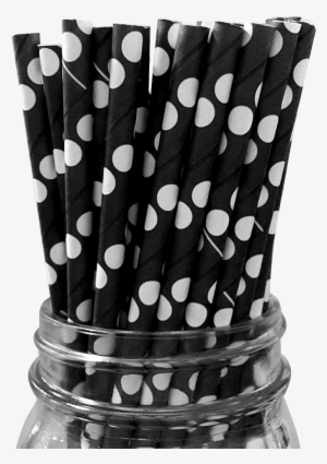 Black With White Polka Dot 25pc Paper Straws - Drinking Straw