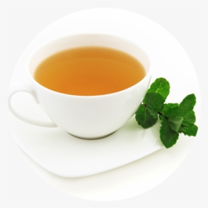 Green Tea Extract - Krierah Baby Dino Loose Leaf Tea Infuser