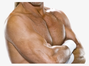 Shawn Michaels Png Transparent Images - Hbk