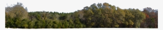 Transparent Stock Png For Free Download On Mbtskoudsalg - Hill Forest Png