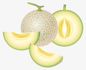 Яндекс - Фотки - Honeydew Melon Clipart