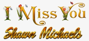 Shawn Michaels Missing You Name Png - Dekorjinal Harf Dekoratif Yastık Kılıfı - 40x40 Cm