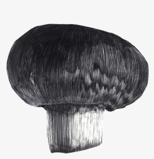 F49f867957719 - 562ba8fcbe62f - Russula Integra