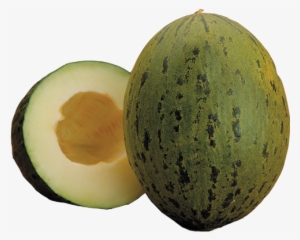 Piel De Sapo - Santa Claus Melon