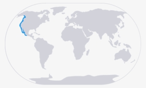 California Sea Lion Range Map - Simple World Map Silhouette