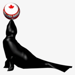 Laveuses Et Sécheuses - Laundry Room