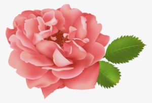 Red Rose Flower Bush Clip Art Image Gallery Yopriceville - Clip Art