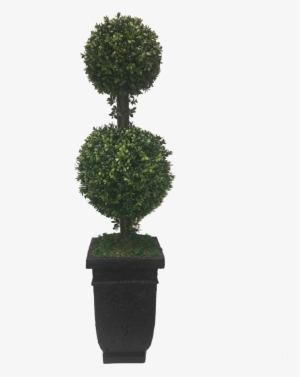 Topiary Hedge Shrub Bush Plant Freetoedit - Trees N Trends