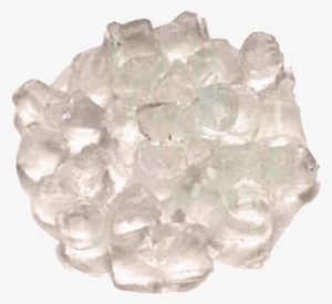 Harambe Will Be Missed