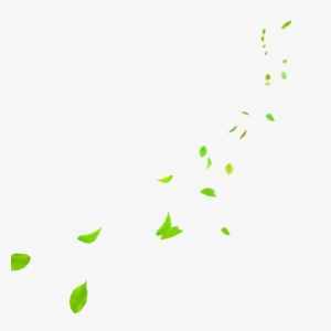 Falling Green Leaves Png Photo - Insect