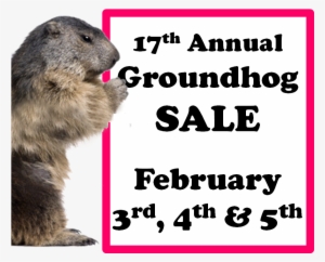 This - February 26th Birthday Ornament (round)