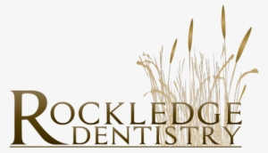 Even Celebrities Like Jennifer Lawrence Aren't Immune - Kansas