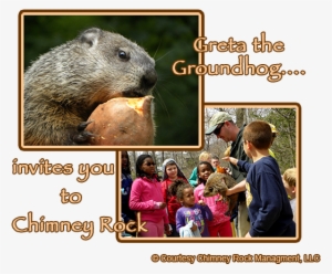 Greta The Groundhog At Chimney Rock - Punxsutawney Phil