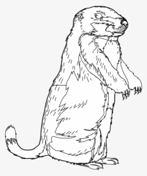 Small - Clip Art
