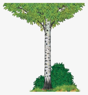 Gruffalo-tree - Tree From The Gruffalo