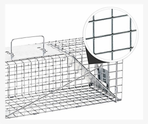 Raccoon & Groundhog Trap - Sketch