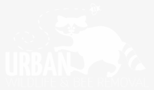 Groundhog Removal - North Carolina