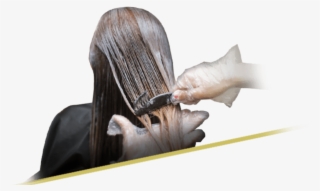 Hair Coloring Shading - Wig