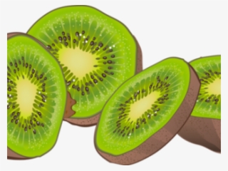 Kiwi Clipart One - Clip Art