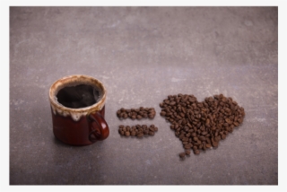 El Salvador Coffee - Coffee Day 2018