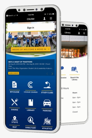 App On Cell Phone - Iphone