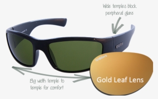 Spotters Sunglasses Coyote Gloss Black Frame With Gold - Costa Del Mar