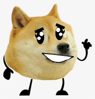 Doge