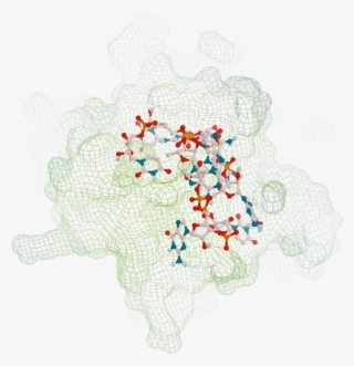 59 83m My Poster - Needlework