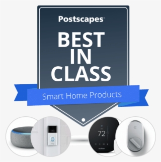 Best In Class Ribbon - Gadget