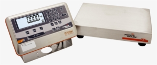 Weighing Scale C20 R-s Ip69k Range - Scale