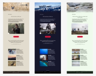 Email Template Design - Online Advertising