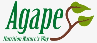 Sweetpro's Bruiser Wins Pbr Bull Of The Year Championship - Calligraphy