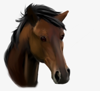 Horse Face Png - Sorrel