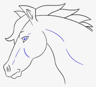 Drawn Horse Face Side - Mane