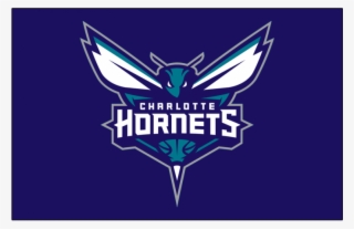 Charlotte Hornets Logos Iron On Stickers And Peel-off - Emblem