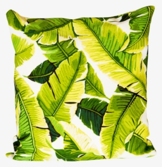 Cushion