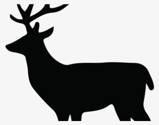 Dear Clipart Deer Silhouette - Female Deer Silhouette Png