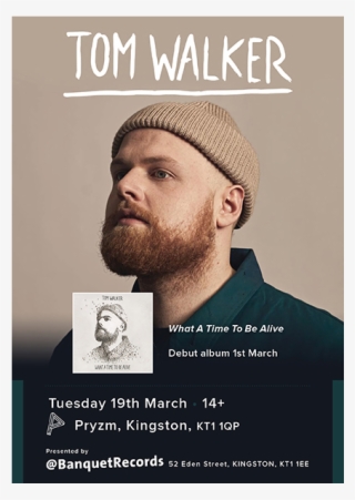 Tom Walker What A Time To Be Alive