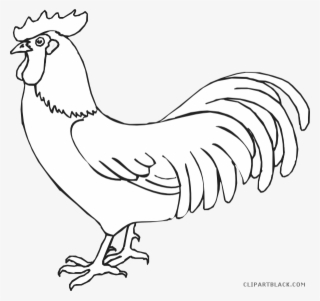 Vector Black And White Download Outline Clipartblack - Rooster Outline Drawing