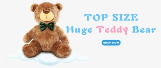 Store Category - Teddy Bear