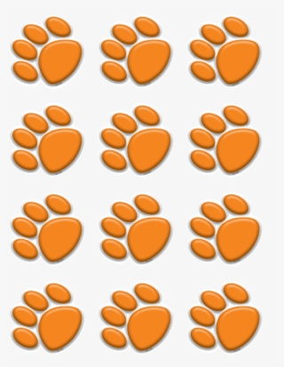 Orange Paw Prints