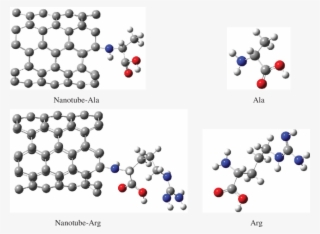 Schematic Of Molecules - Circle