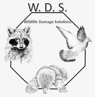 Logo - Pepar Prize Bond7500 Peshawar Come