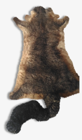 Paw