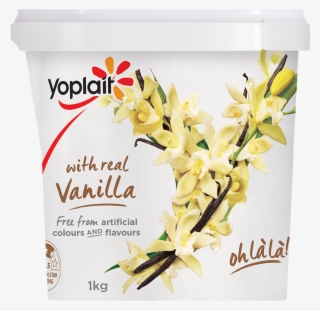 Yoplait Vanilla - Yoplait Yogurt Malaysia