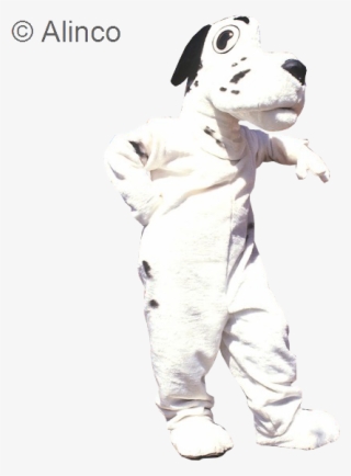 See 1 More Picture - Dalmatian