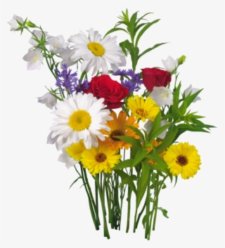Colorful Flowers And Green Leaves Png Clipart Clipart - День Любви И Верности